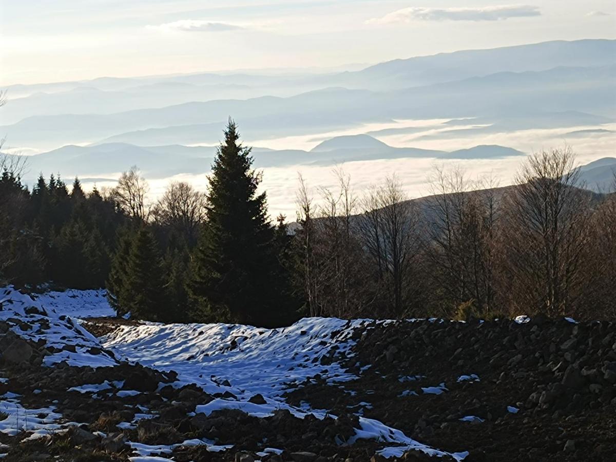 Appartement Kuca Za Odmor "Djurovic" à Kopaonik Extérieur photo